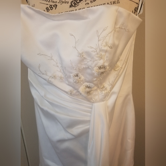 David's Bridal wedding dress - Picture 2 of 4